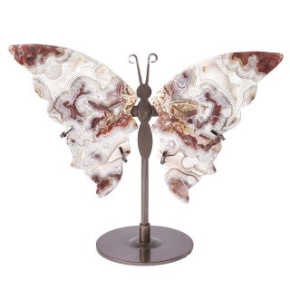 Crazy Lace Agate Butterfly Wings on Metal Stand