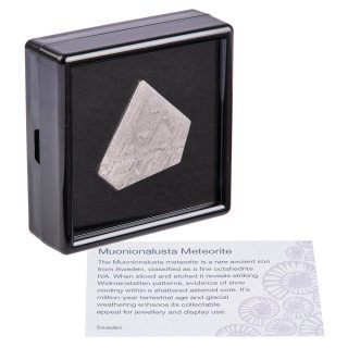Muonionalusta Meteorite Slice (Sweden) &ndash; 9.88g