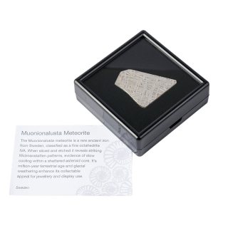 Muonionalusta Meteorite Slice &ndash; Sweden &ndash; 9.49g