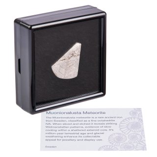 Muonionalusta Meteorite Slice from (Sweden) -5.55g