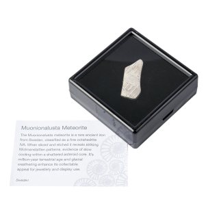 Muonionalusta Meteorite Slice &ndash; Sweden &ndash; 4.75g