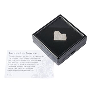 Muonionalusta Meteorite Slice – Sweden – 4.44g