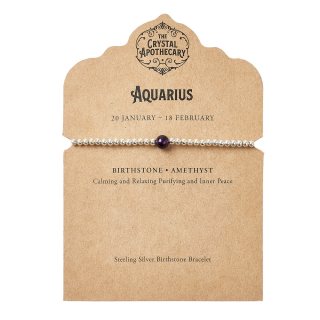 Aquarius Sterling Silver Birthstone Bracelet &ndash; Amethyst