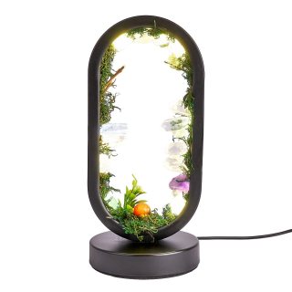 Crystal Garden Oval USB Desk Lamp