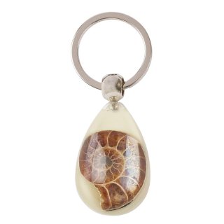 Glow in the Dark Resin Ammonite Keyring