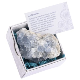 Gift Boxed Celestite Crystal Cluster
