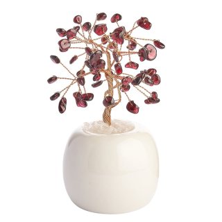 Garnet Gem Tree in Flowerpot