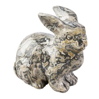 Crocodile Jasper Rabbit 