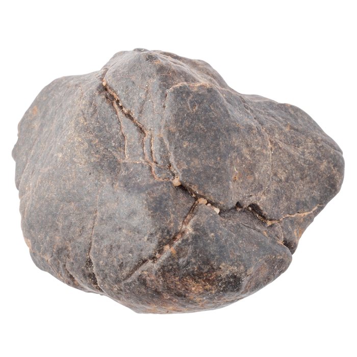 Stoney NWA Meteorite