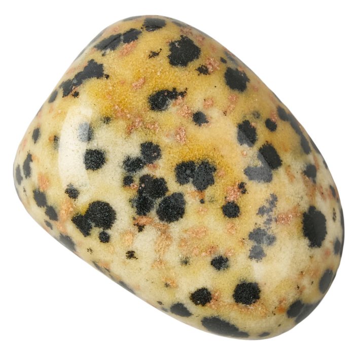 Dalmatian Jasper Tumblestone