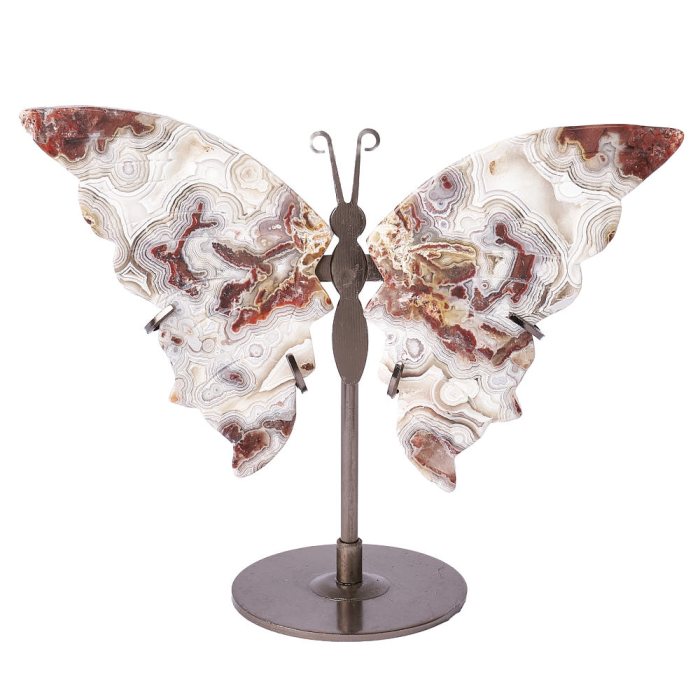 Crazy Lace Agate Butterfly Wings on Metal Stand