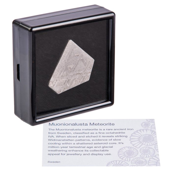 Muonionalusta Meteorite Slice (Sweden) – 9.88g