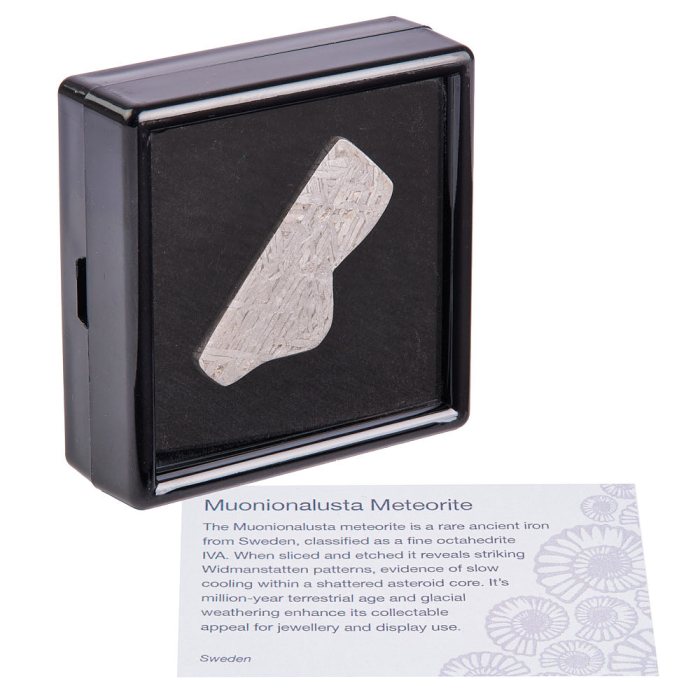 Muonionalusta Meteorite Slice (Sweden) – 8.67g