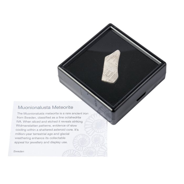 Muonionalusta Meteorite Slice – Sweden – 4.75g