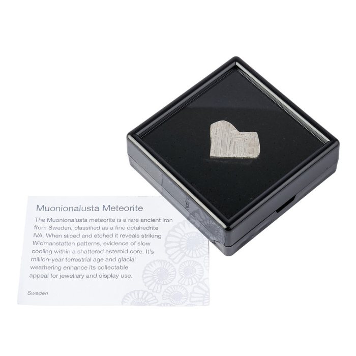 Muonionalusta Meteorite Slice – Sweden – 4.44g