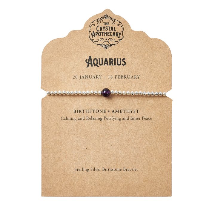 Aquarius Sterling Silver Birthstone Bracelet – Amethyst
