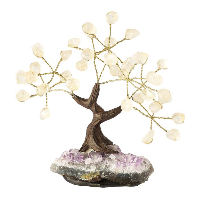Small Quartz Crystal Bonsai Tree on Amethyst druze base