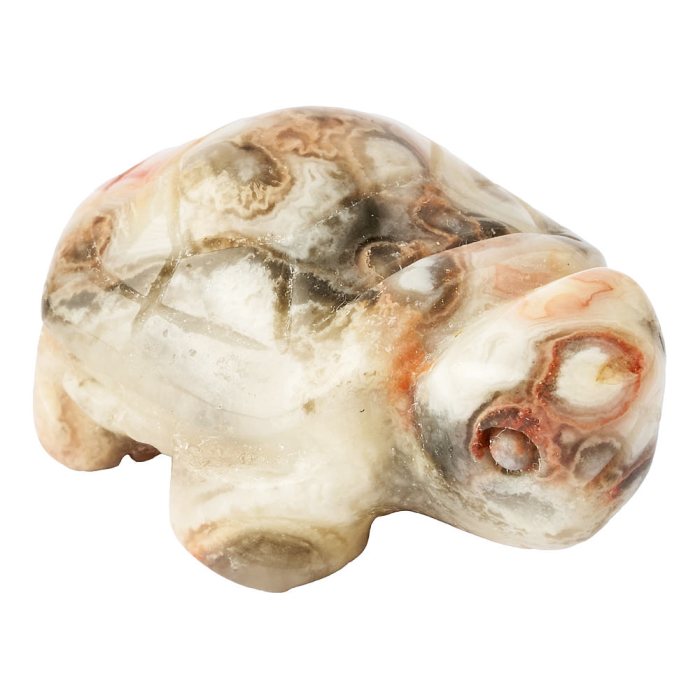 Crazy Lace Agate Turtle Carving - 30mm