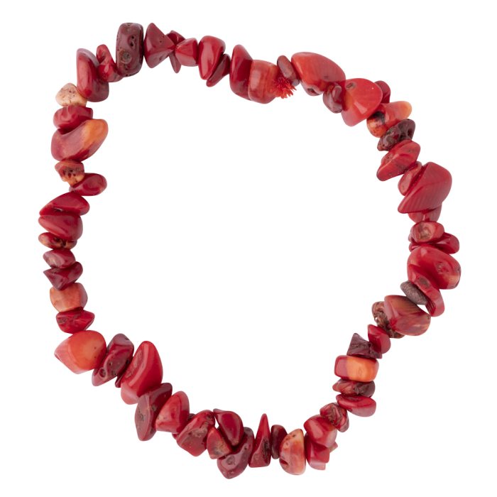 Sea bamboo chip bracelet