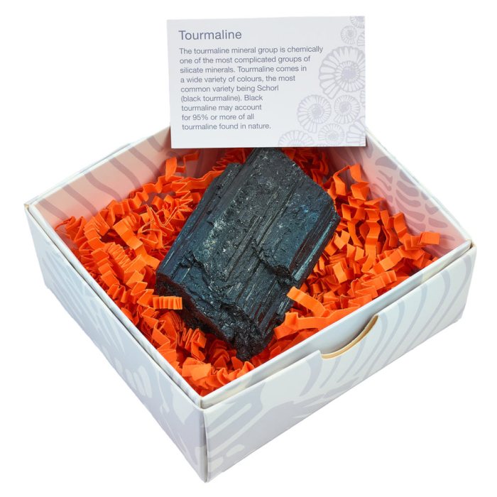 Black Tourmaline In Gift Boxed with ID Card