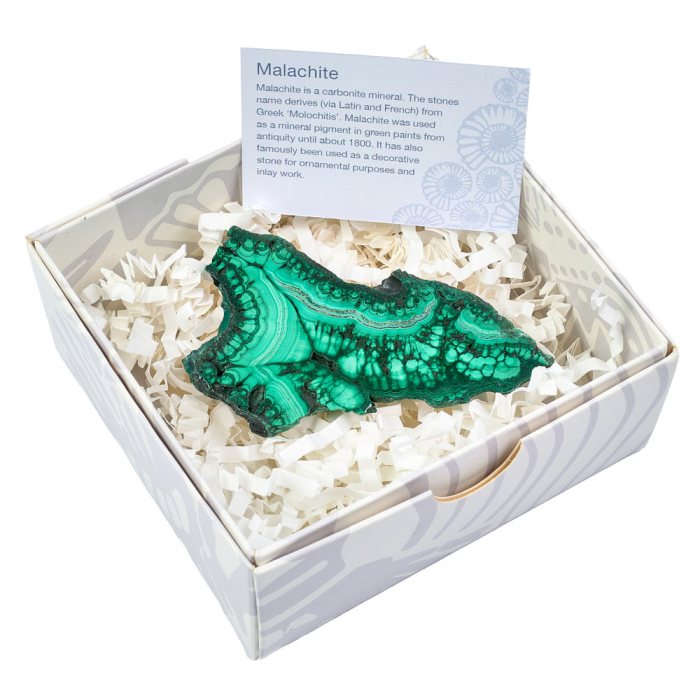 Malachite Slice in Gift Box