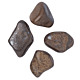 Bronzite